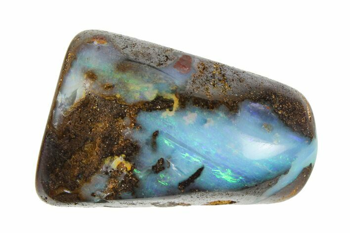 Flashy Polished Boulder Opal Specimen - Queensland, Australia #381811